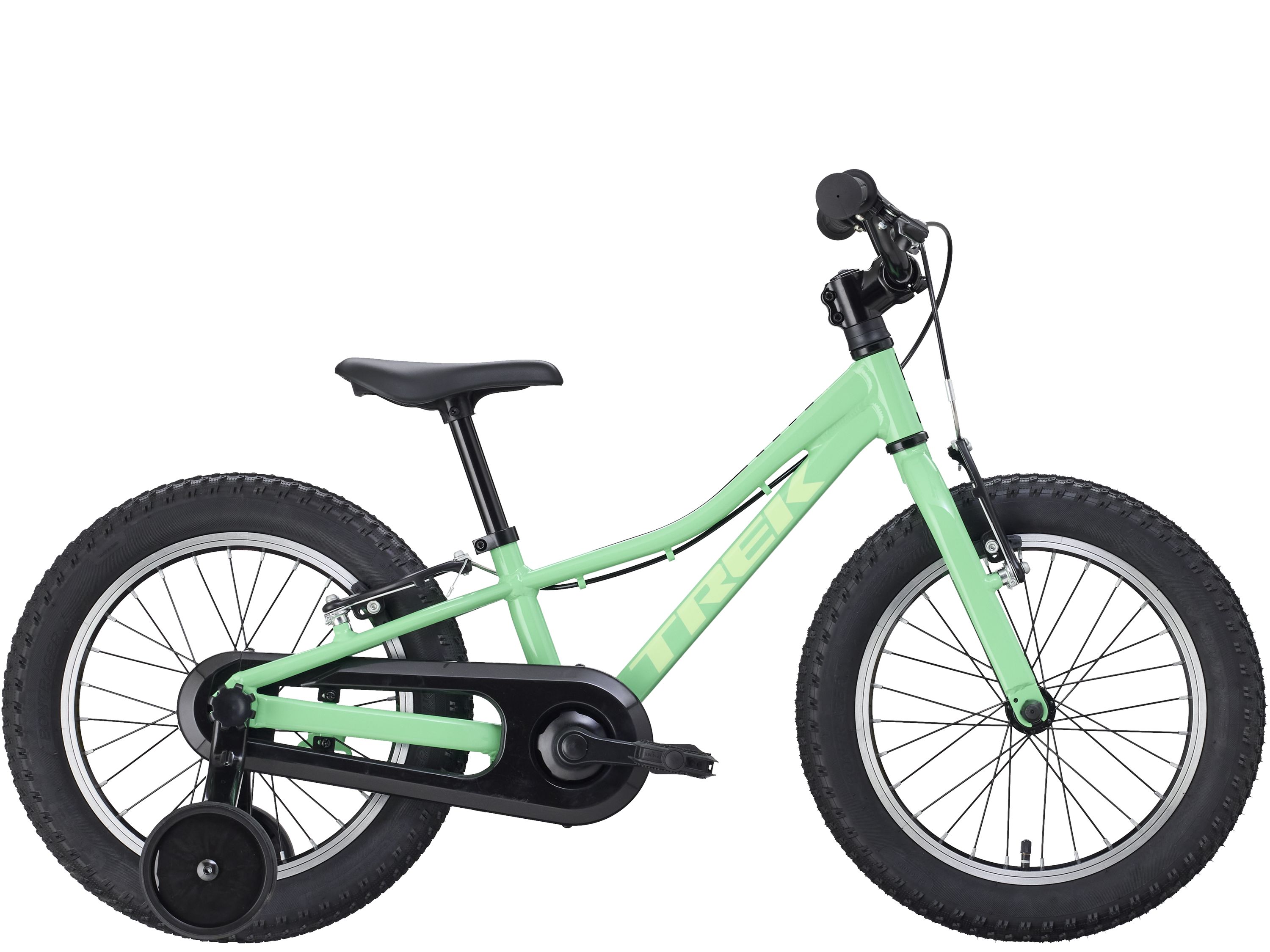 Precaliber 16 F/W 16 Green Flash