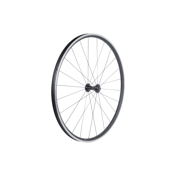 Bontrager at 650 rim 2025