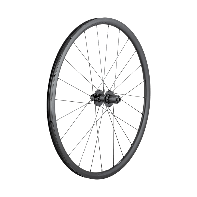 Bontrager Affinity TLR 6 Bolt Disc 24H 700c Road Wheel Trek Bikes IN