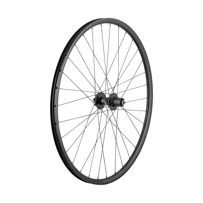 Boost 141 rear wheel 29 discount
