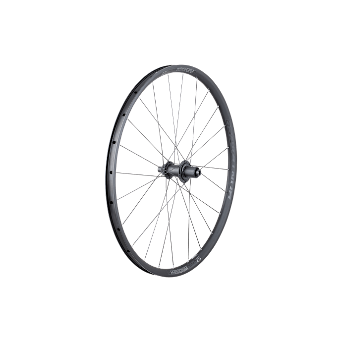 ボンドレガー パラダイムディスク ホイールセット Bontrager R2 