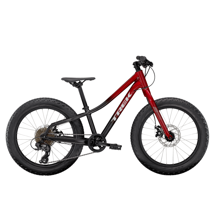 Roscoe 20 Trek Bikes