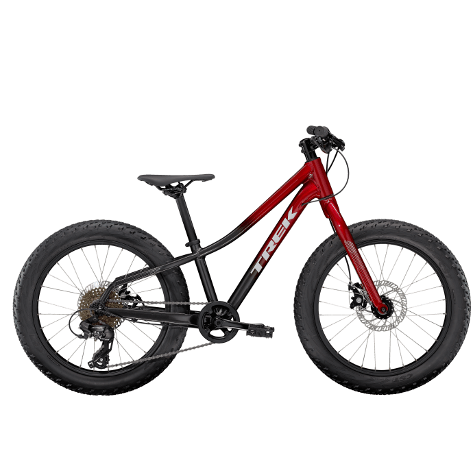 BICICLETA NIÑOS MONTAÑA TREK ROSCOE 20 SHIMANO 8S 20 