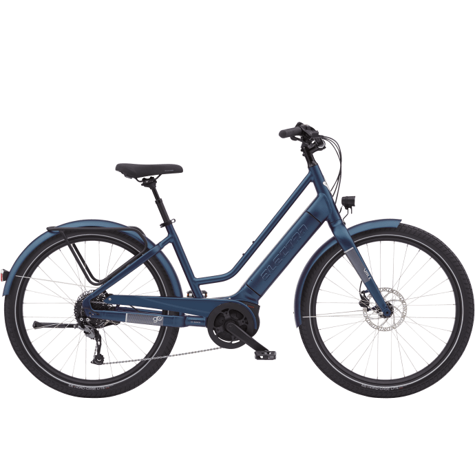 Trek 2025 vale go