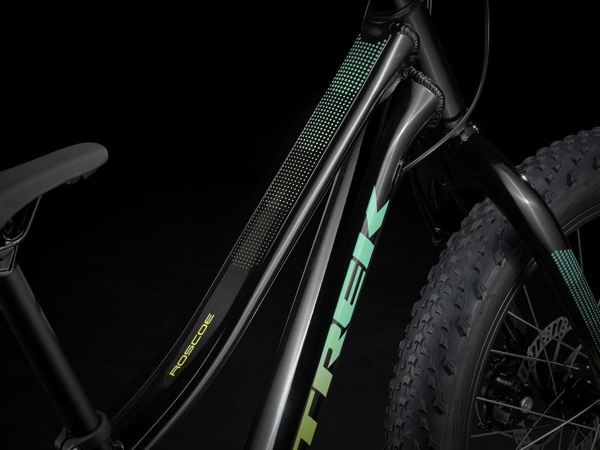 Trek roscoe 20 weight online