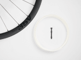 Rueda Bontrager Aeolus Elite 35V TLR Disc Carretera