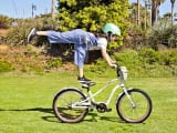 Cat's Meow Sprocket 20"