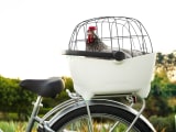 Electra Basil Pet Carrier