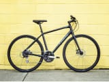 FX 2 Disc Trek Bikes