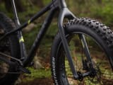 Farley 5 Trek Bikes