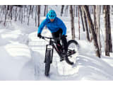 Farley EX 8 Trek Bikes