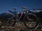 Trek fuel ex 8 womens sale