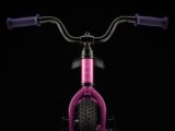 Precaliber 12 Trek Bikes CA