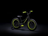 16 in trek bike shop