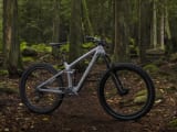 Trek remedy 9.8 2019 on sale