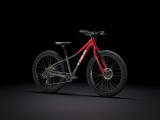 Roscoe 24 Trek Bikes