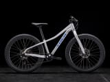 Trek roscoe 24 stores 2025