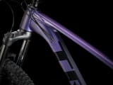 Roscoe 6 trek 2021 best sale