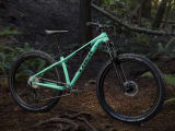 Trek womens roscoe 7 online