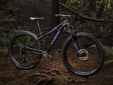 Roscoe 8 Women s Trek Bikes
