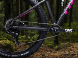 Trek store roscoe pink