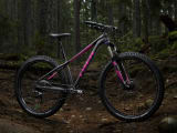 Trek roscoe pink on sale