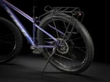 Trek women's roscoe 8 wsd mountain bike purple flip 2025