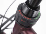 Townie Commute Go! 5i Step-Thru