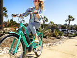 Townie Go! 5i EQ Step-Thru