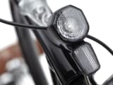 Townie Go! 5i EQ Step-Thru