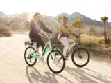 Townie Go! 7D Step-Thru