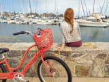 Townie Go! 7D Step-Thru