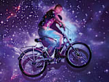 Townie Go! 8i Step-Thru