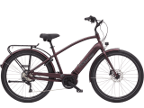 Electra townie path go test online