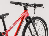 Wahoo 24 Trek Bikes