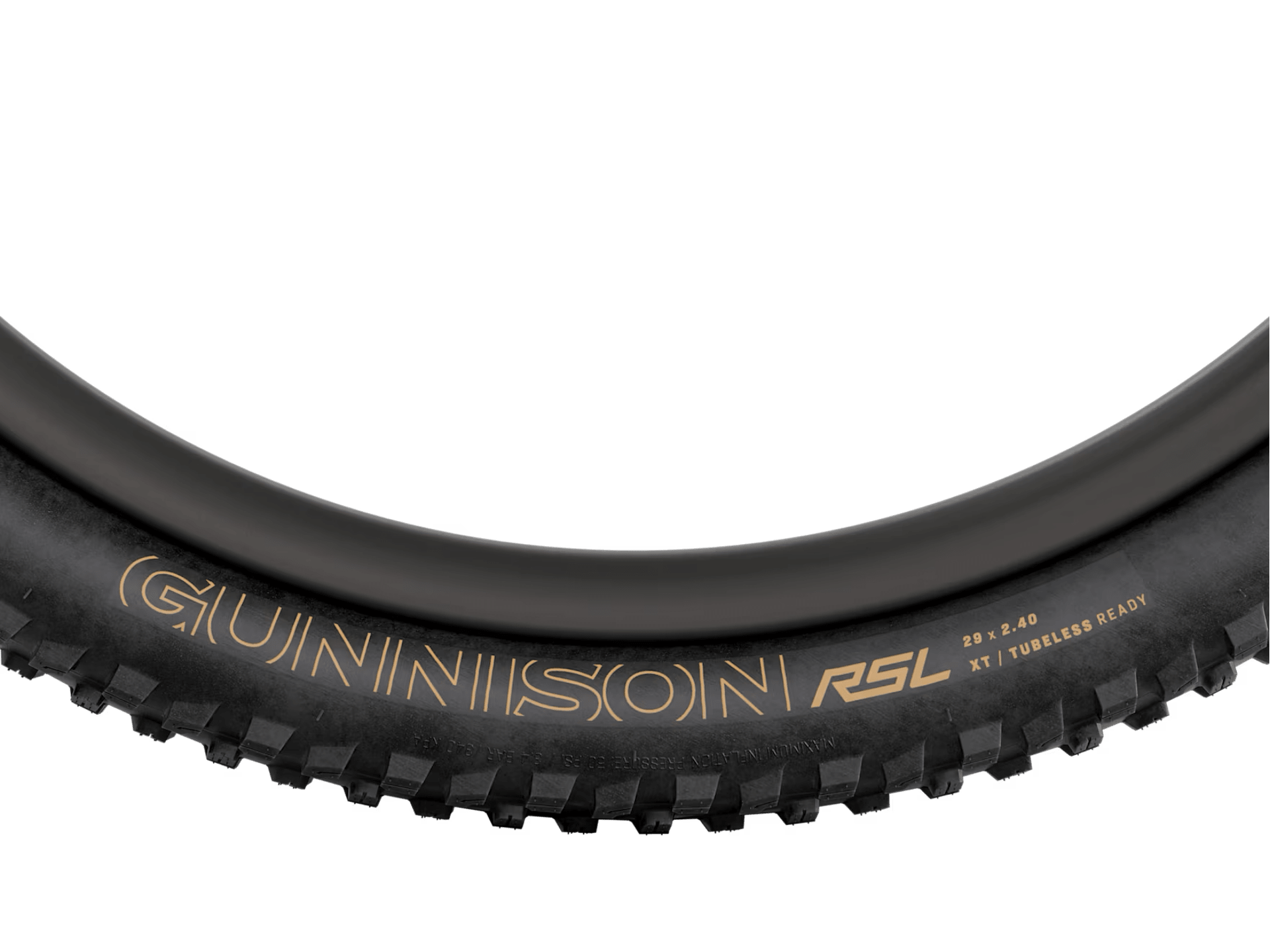 Bontrager Gunnison RSL XT TLR MTB Tire
