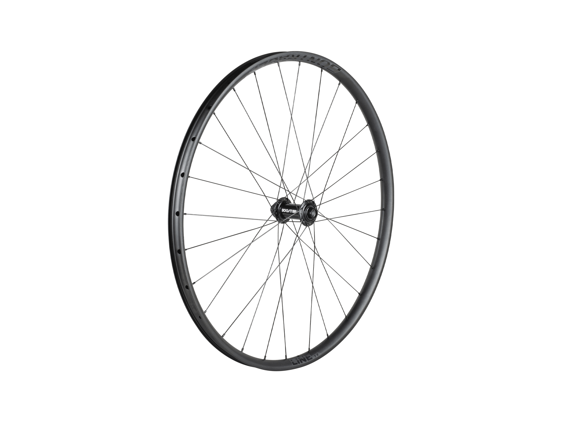 Bontrager Line 30 Centerlock TLR Boost 29" MTB Wheel