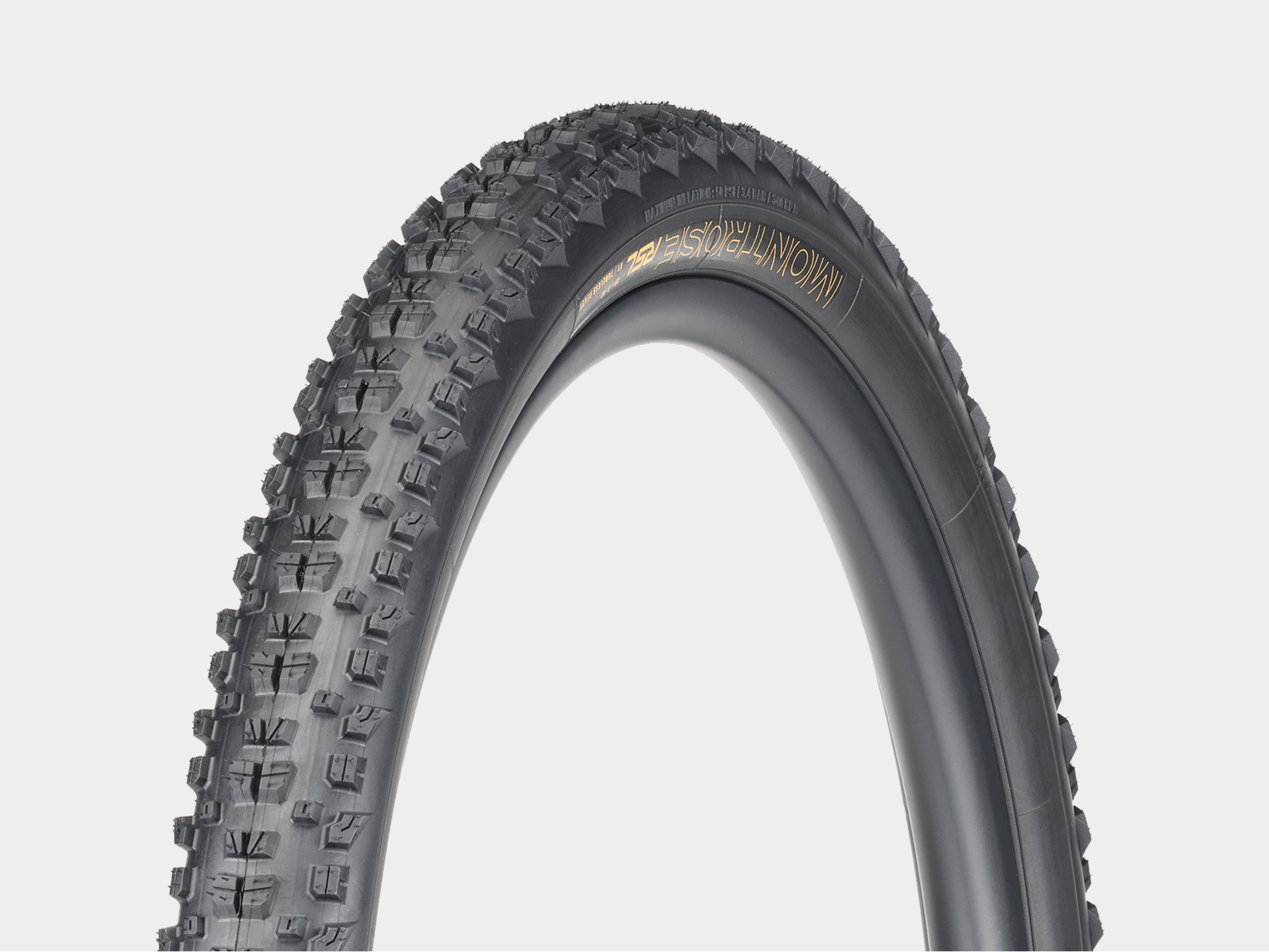 Photo - Pneu VTT Bontrager Montrose RSL XT TLR 29 x 2.40