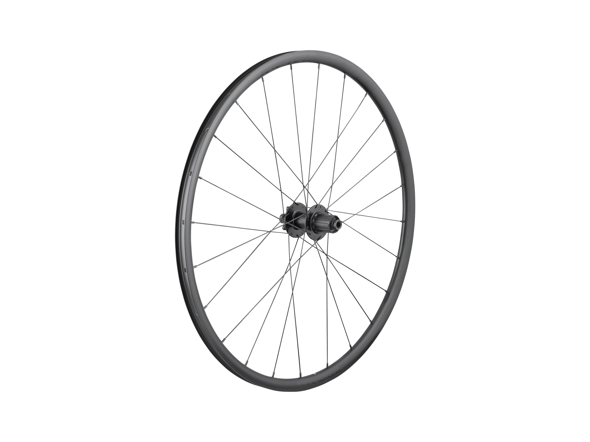 Bontrager Paradigm SL 6-Bolt Disc 24H 700c Road Wheel