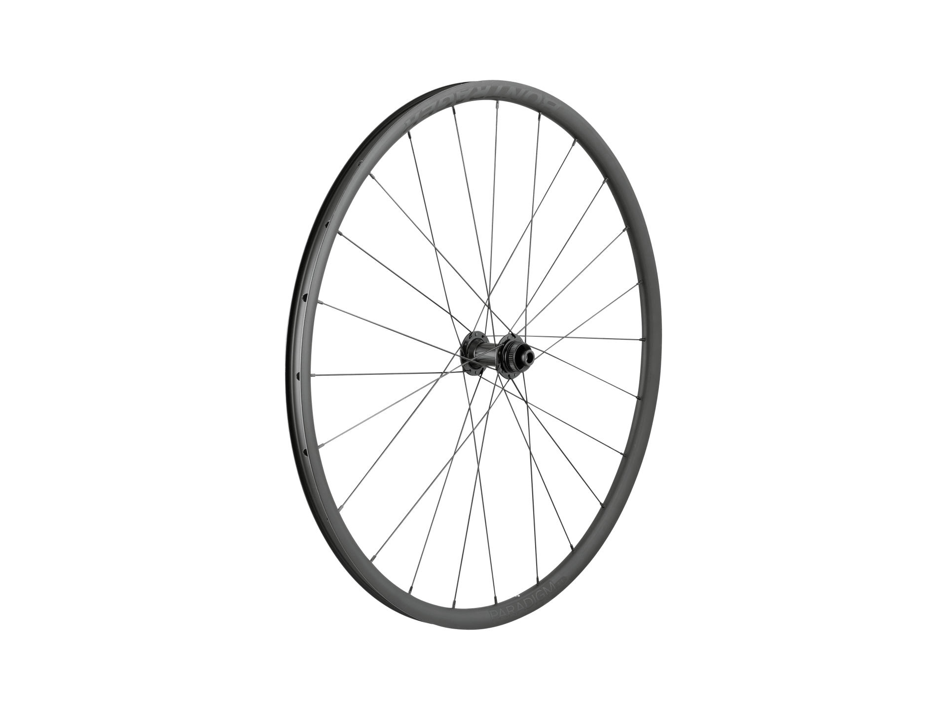 Bontrager Paradigm SL Centerlock Disc 24H Silver Nipples 700c Road Wheel