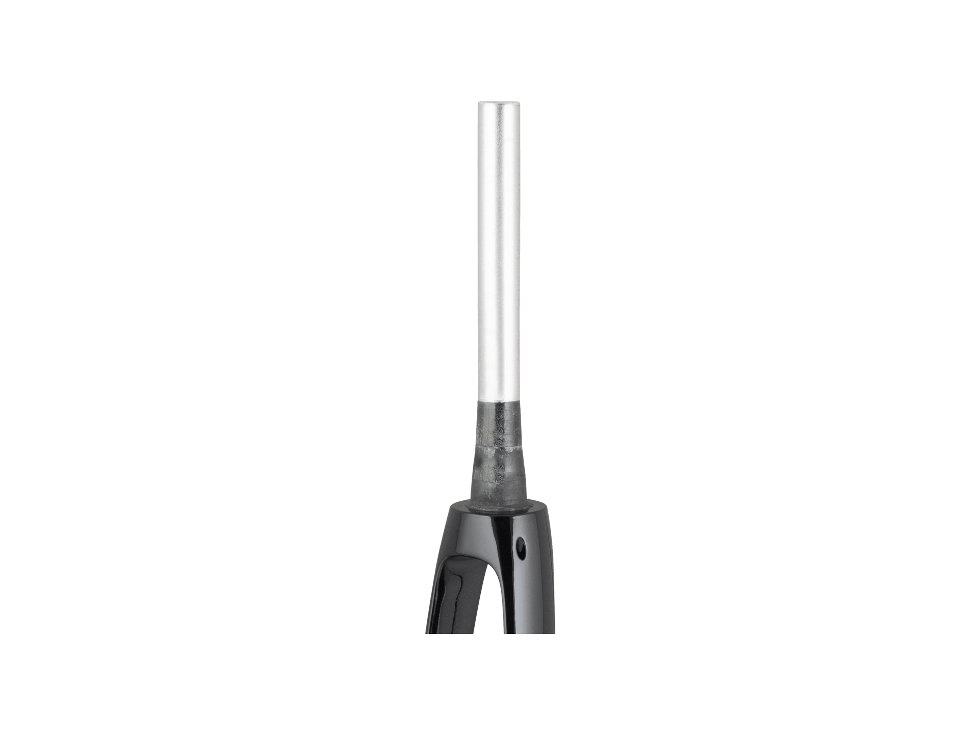 Trek 2021 Domane+ ALR 700c Rigid Fork