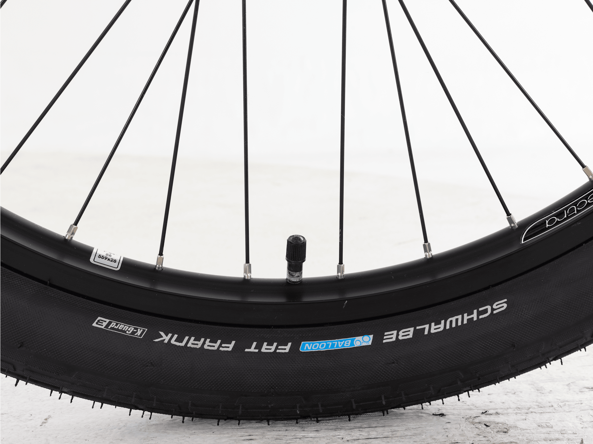 Townie Go! 5i EQ Step-Over - 2025, 26"