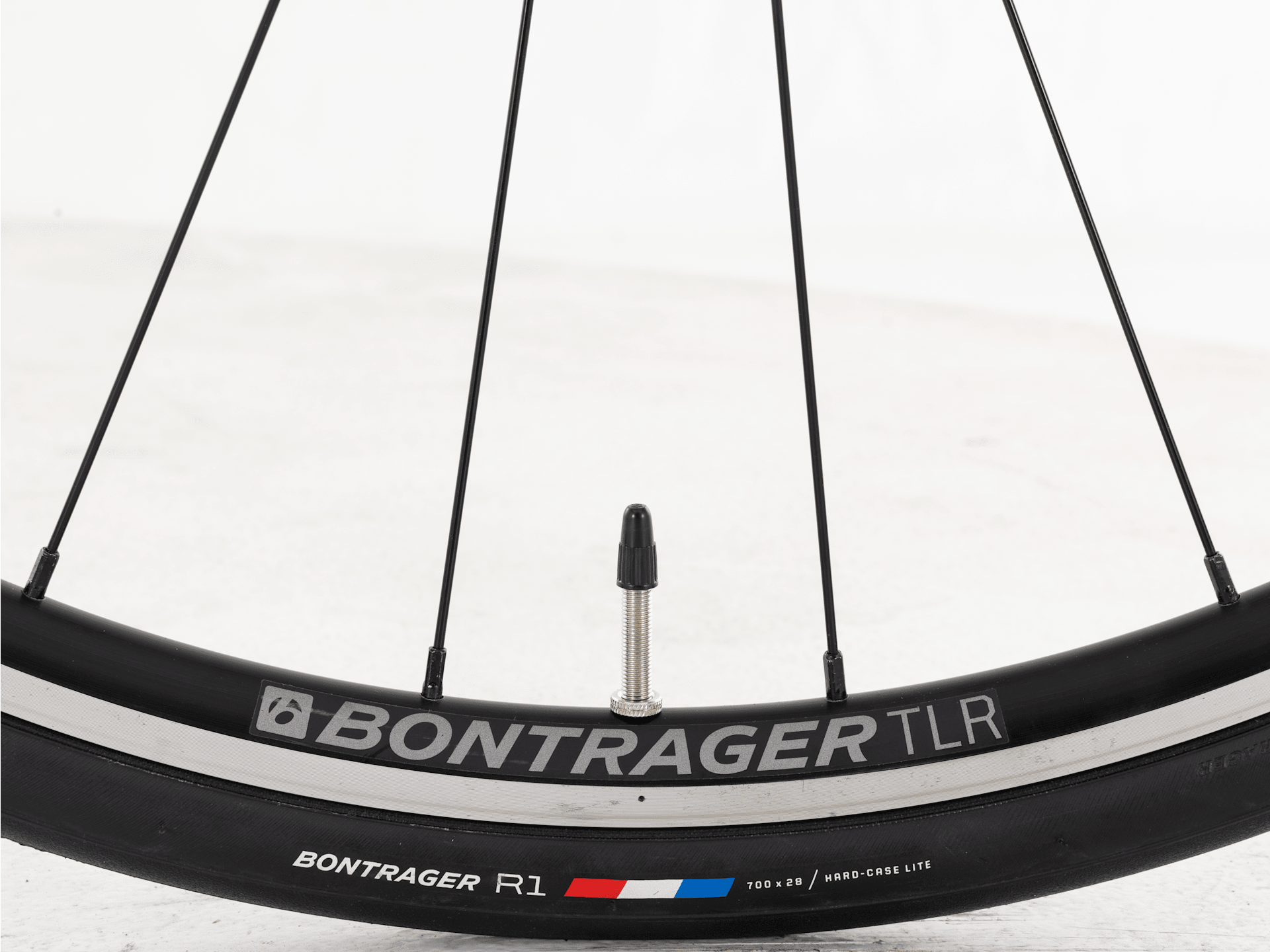Domane AL 2 Rim - 2024, 47cm