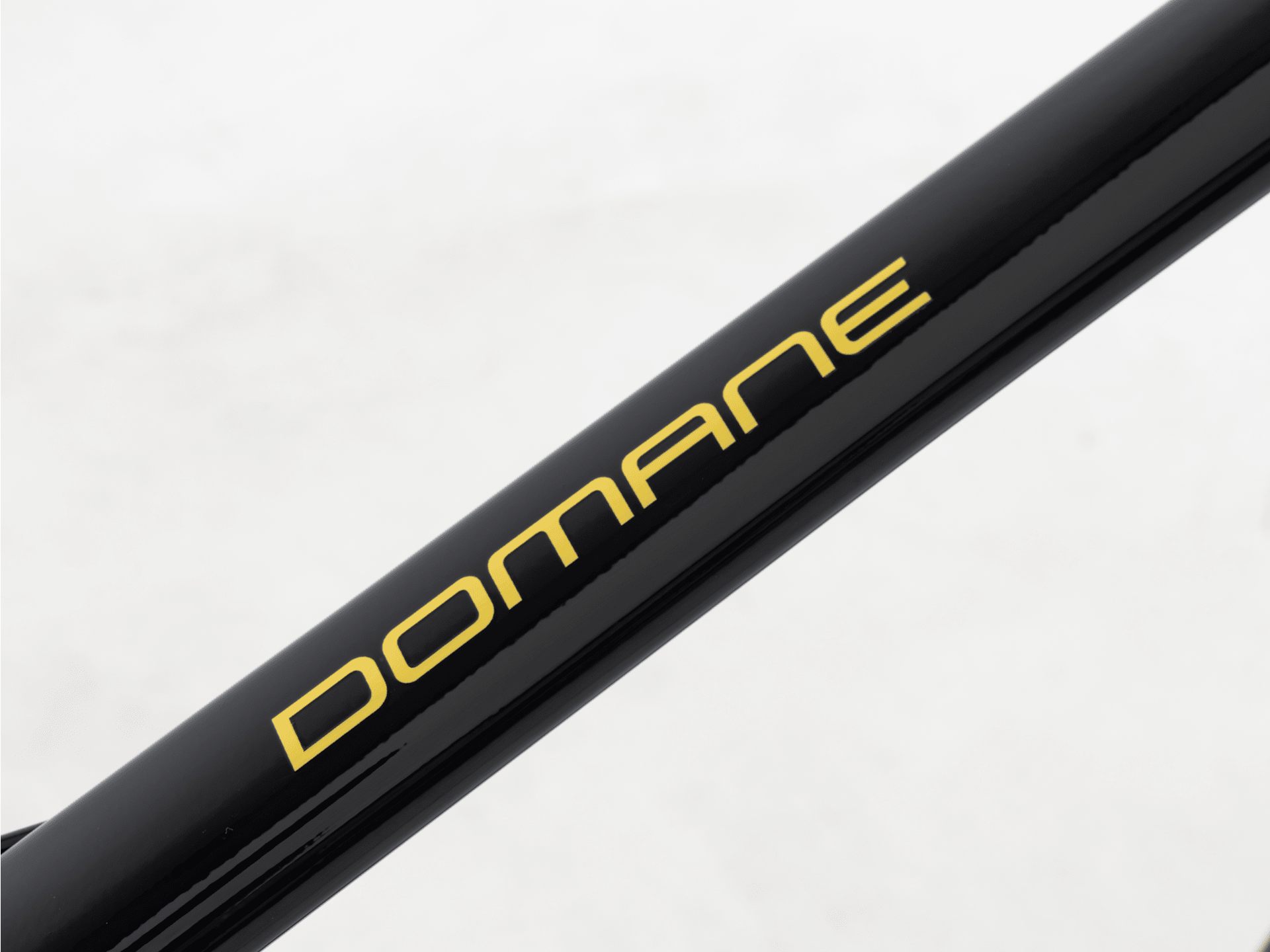 Domane AL 2 Rim - 2024, 58cm