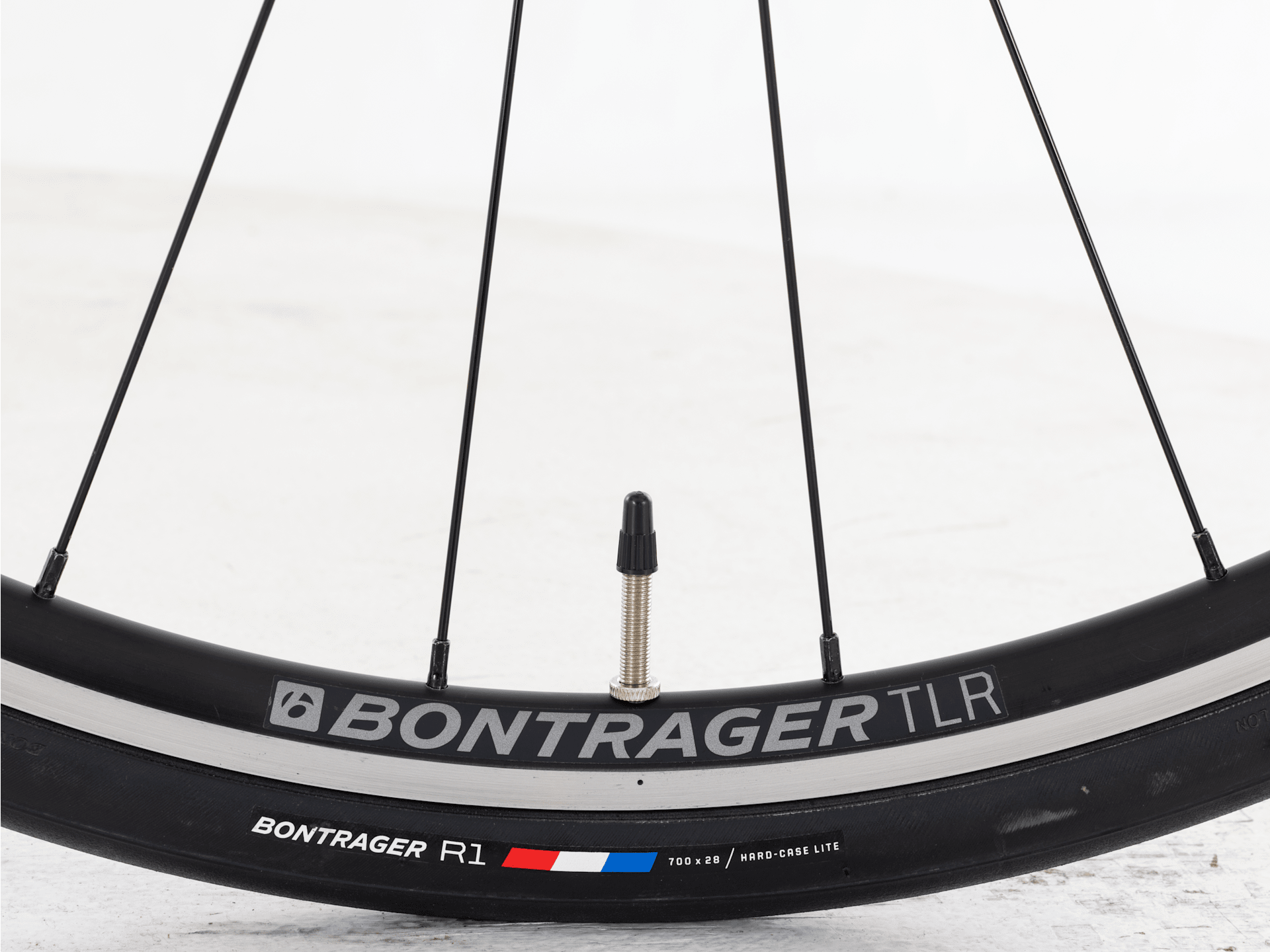 Domane AL 2 Rim - 2024, 58cm