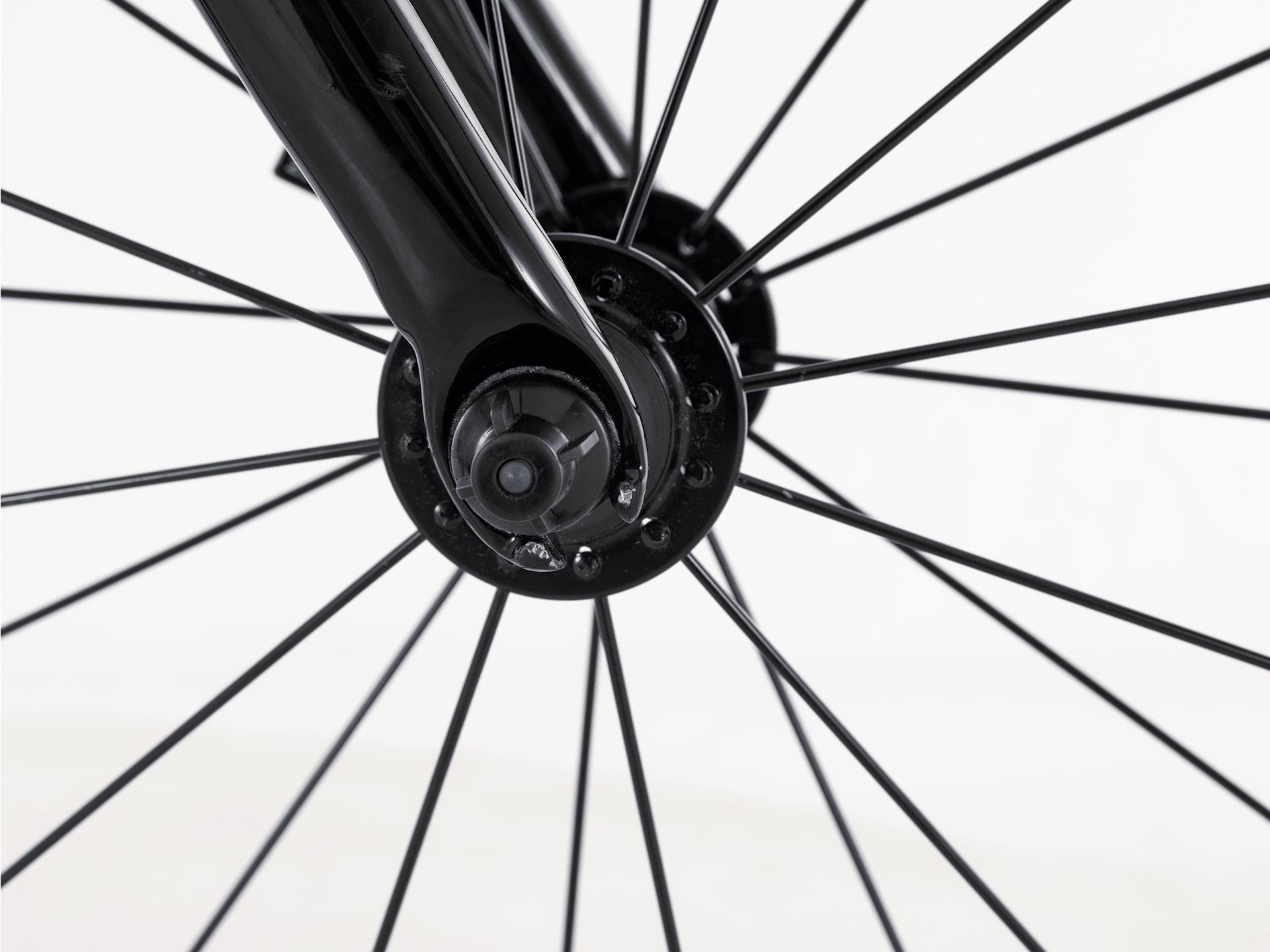 Domane AL 2 Rim - 2024, 58cm