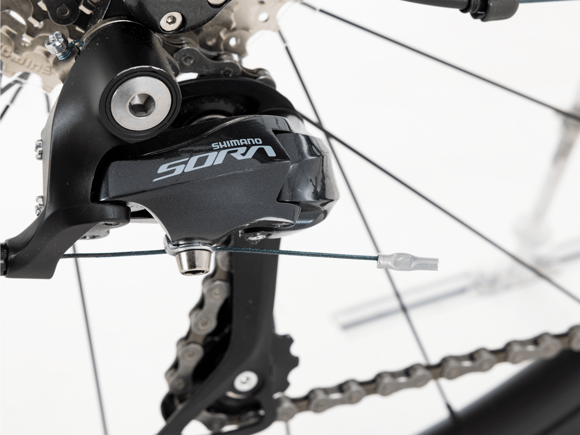 Domane AL 3 Gen 3 - 2022, 44cm
