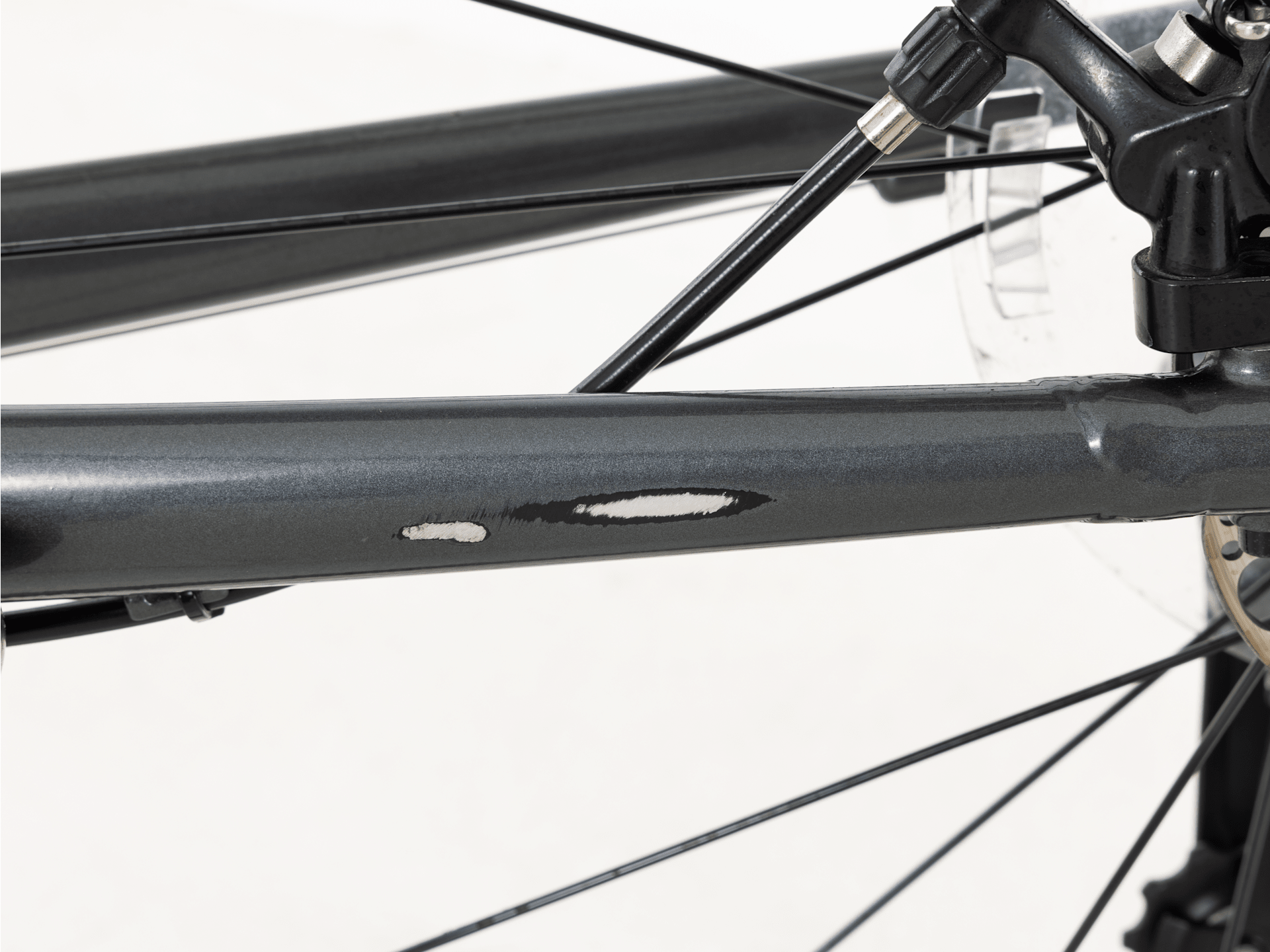 Domane AL 3 Gen 3 - 2022, 58cm