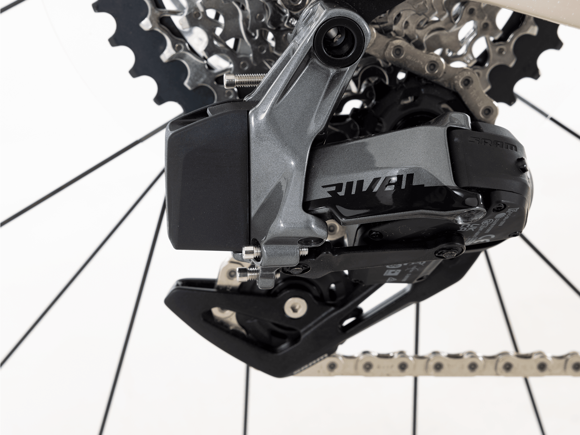 Checkmate SLR Rival AXS- 2026, Medium