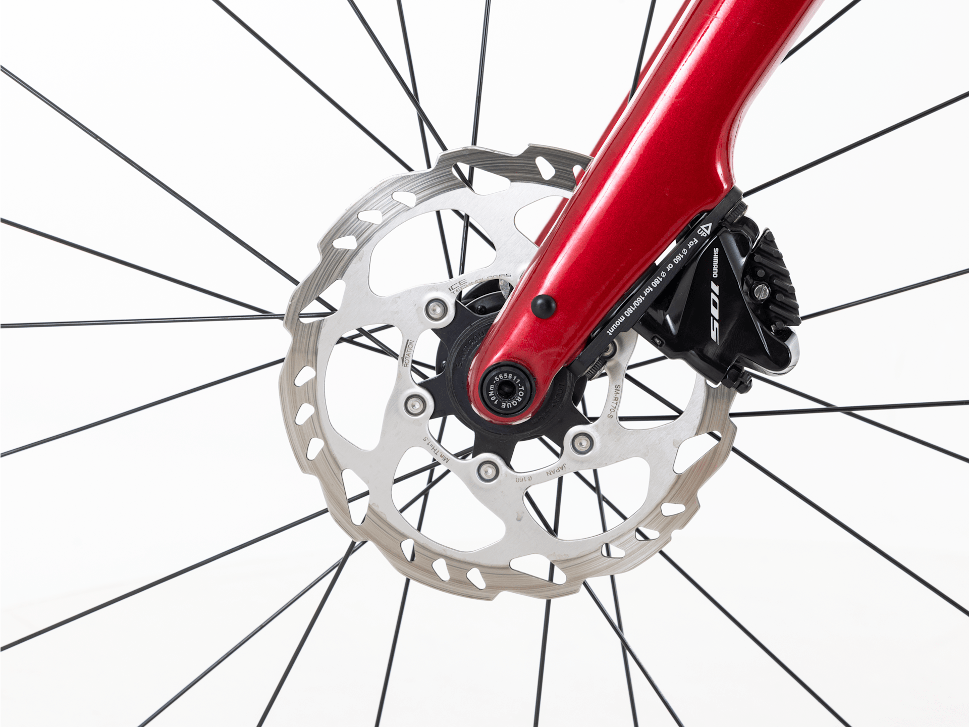 Domane AL 5 Gen 3 - 2023, 58cm